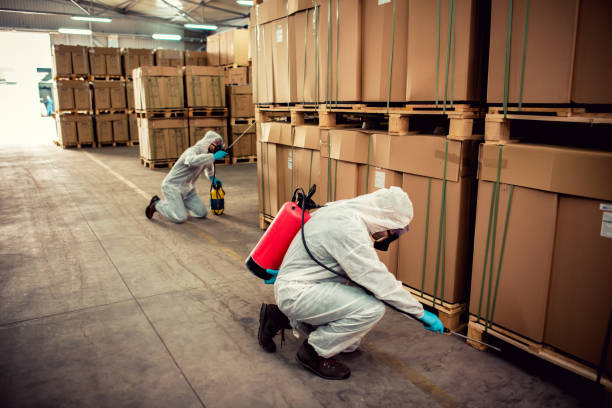 Best Cockroach Control Services  in Show Low, AZ