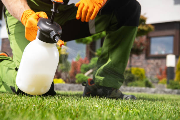 Best Best Pest Control Companies  in Show Low, AZ