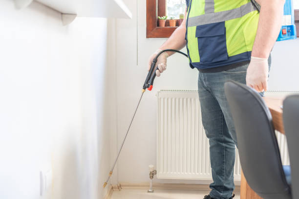 Professional Pest Control in Show Low, AZ