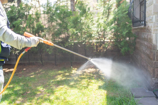 Best Best Pest Control Companies  in Show Low, AZ